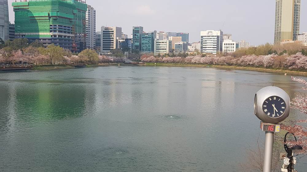 벚꽃이 핀 석촌호수
