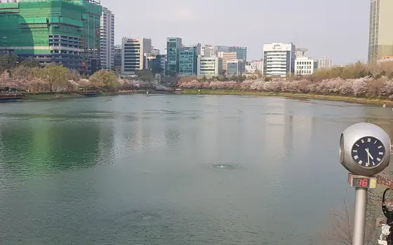 서울 주택 중개보수는 어떻게 계산하나